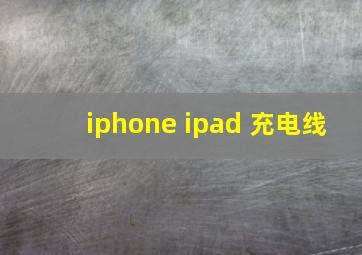 iphone ipad 充电线